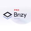 Brizy Pro