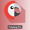 Polylang Pro